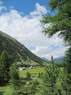 Bed & Breakfast Campaciol - Livigno - 8