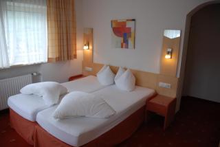 Alpenhotel Regina - 3