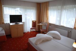 Alpenhotel Regina - 2