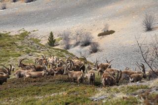 Hôtel Le Mont Barral - 3