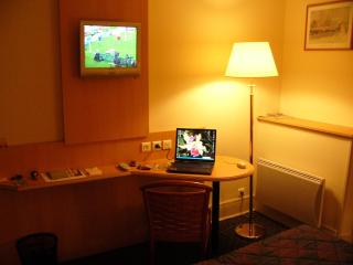 Hotel Le Bourbon Pau Centre - Pau - 5