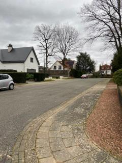 narcisses - Sint-Genesius-Rode - 9