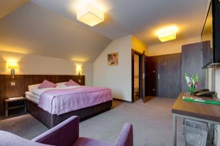 Hotel Figa - Plewiska - 3