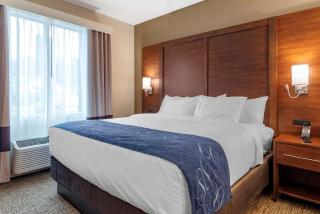 Comfort Suites Newnan - 2