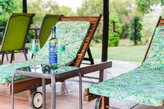 Olive Tree Farm - Magaliesburg - 6