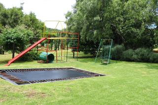 Olive Tree Farm - Magaliesburg - 9
