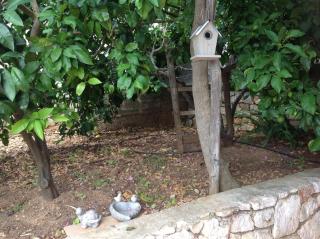 Apartmani Roić - Stari Grad - 4