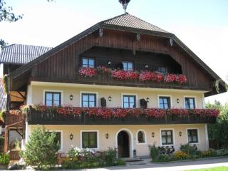 Hoferbauergut - Strobl - 0