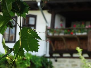 Osmarski Houses - 8