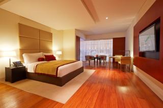 Oryx Airport Hotel -Transit Only - Doha - 3
