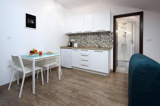 Centrally located studio apartment Seagull - Rijeka - 9