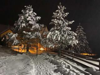 Holiday house Zmajevac (Tornik, Zlatibor) - Zlatibor - 2