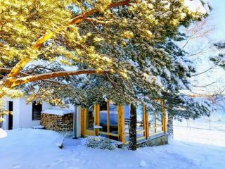 Holiday house Zmajevac (Tornik, Zlatibor) - Zlatibor - 0