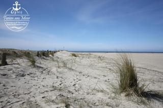 Kleiner Muck - Norddeich - 1