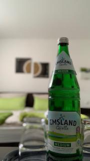 Hotel Tau-Lünne - Haselünne - 9