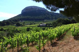 Maison provençale - 2 chambres - 2,5km de la plage - Cassis - 3