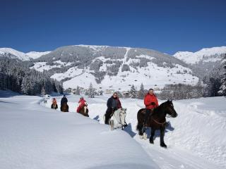 Holiday flat near four ski lifts in Mayrhofen - 1