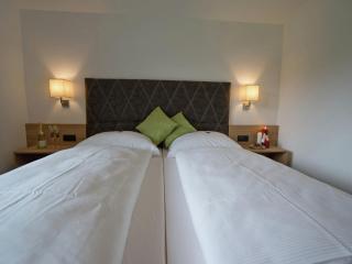 Holiday flat near four ski lifts in Mayrhofen - 2