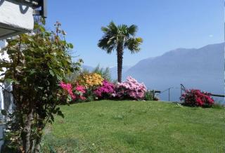 Avalon - Brissago - 6