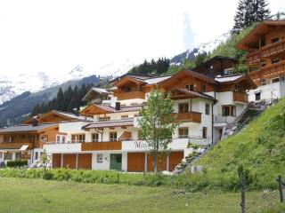 Large chalet apartment in Saalbach-Hinterglemm - Saalbach-Hinterglemm - 0