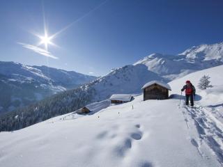 Apartment in Mayrhofen near Ski Lifts - 9