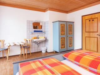 Sunny flat in Mittersill near the ski area - Mittersill - 1