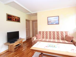 Flat in Neukirchen near the waterfalls - Neukirchen am Großvenediger - 3