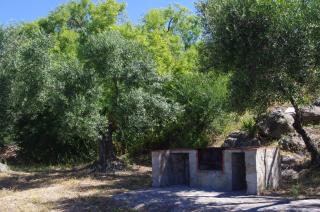 Finca Barreras - El Gastor - 5
