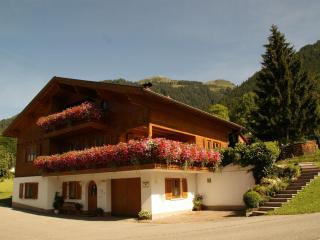 Apartment in Sankt Gallenkirch with terrace - Sankt Gallenkirch - 0