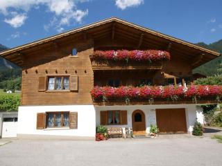 Apartment in Sankt Gallenkirch with terrace - Sankt Gallenkirch - 8