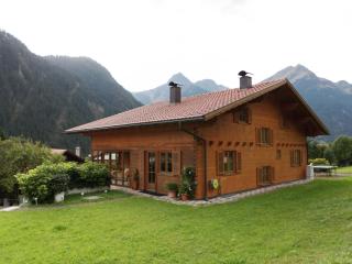 Apartment in Sankt Gallenkirch with terrace - Sankt Gallenkirch - 9