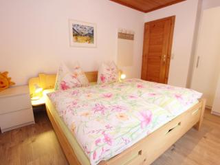 Apartment in Viehhofen near Ski Lifts - Saalbach-Hinterglemm - 3