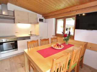 Apartment in Viehhofen near Ski Lifts - Saalbach-Hinterglemm - 6