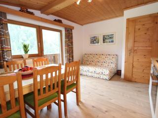 Apartment in Viehhofen near Ski Lifts - Saalbach-Hinterglemm - 8