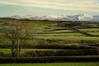 Mountain View Apartment - short drive to beaches - 4