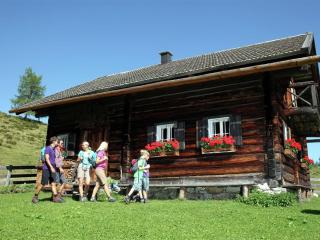 Apartment with balcony and sauna - Flachau - 2