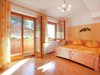 Apartment in Wagrain near Red 8 Gondola - Wagrain - 0