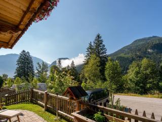 Chalet with garden in the forest in the Pinzgau - Wald im Pinzgau - 8