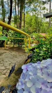 Vista Turrialba Lodge - Turrialba - 2