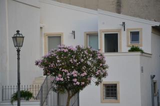 Scicli Albergo Diffuso - Scicli - 5