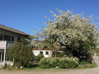 Haus Irmgard - Bad Endorf - 2