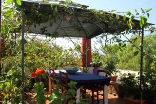 Casa Terranova - Ustica - 0