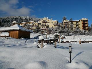Mirabell Alpine Garden Resort & Spa - Siusi - 5