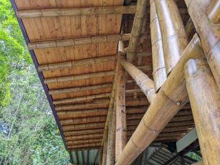 Refugio en el Bosque - Medellín - 1