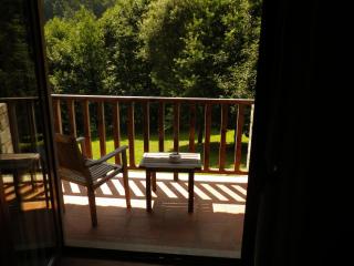 Hotel Rural Quinta de Novais - Arouca - 6