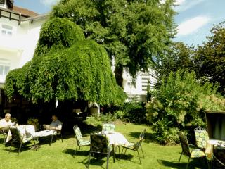 Hotel Villa Luise - Bad Rothenfelde - 8