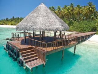 Filitheyo Island Resort - Filitheyo - 7