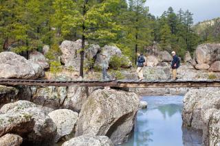 Bosques - 8