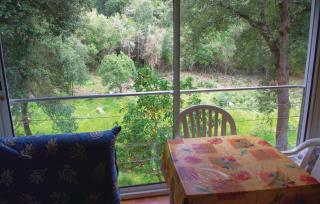 Nice Apartment In Sagone With Kitchen - Sagone - 5