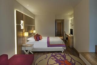 Botanik Platinum Hotel - Okurcalar - 6